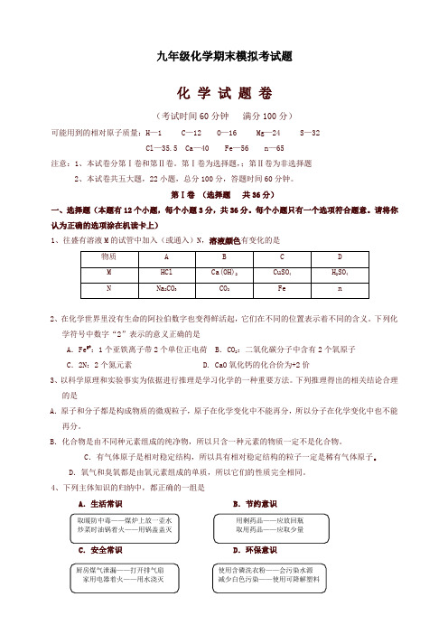 【精选】新人教版四川省望子成龙学校九年级上学期期末模拟化学试题