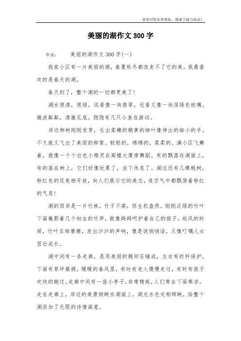 美丽的湖作文300字