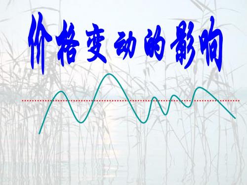 高一政治经济生活第一单元第二课第二框：价格变动的影响(共25张PPT)