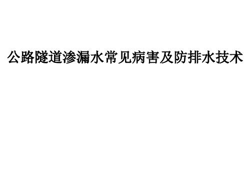 公路隧道渗漏水常见病害及防排水技术PPT培训课件