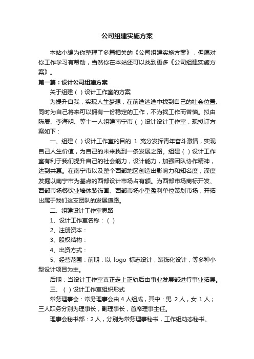 公司组建实施方案