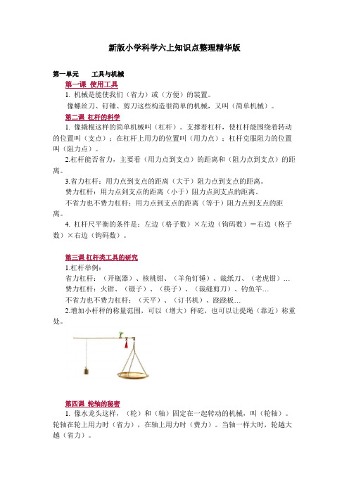 教科版科学六年级上册知识点整理