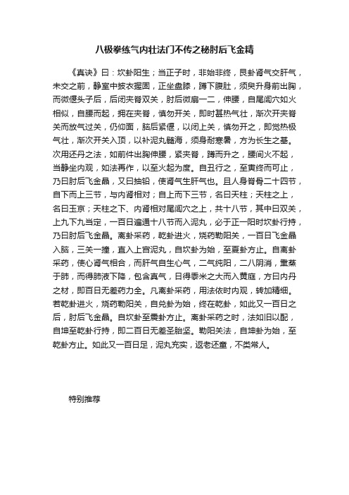 八极拳练气内壮法门不传之秘肘后飞金精