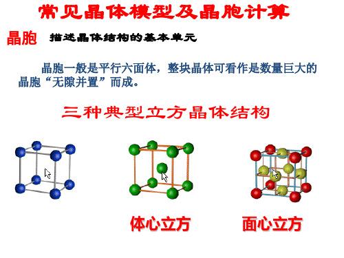 常见晶体模型与晶胞计算