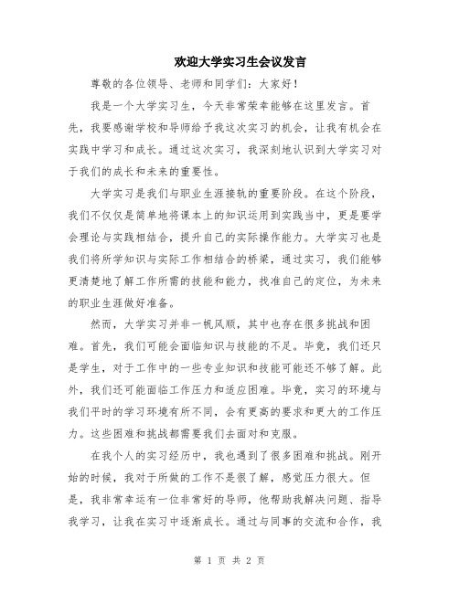 欢迎大学实习生会议发言