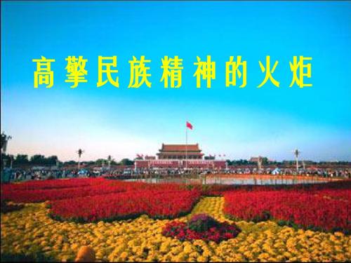 思想品德:9.2《高擎民族精神的火炬》课件-(鲁教版九年级)