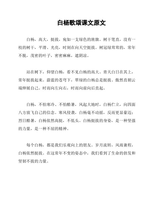 白杨歌颂课文原文