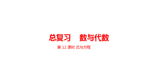 六年级下册数学课件--总复习 数与代数 3式与方程 课时12 北师大版(2014秋) (共21张PPT)