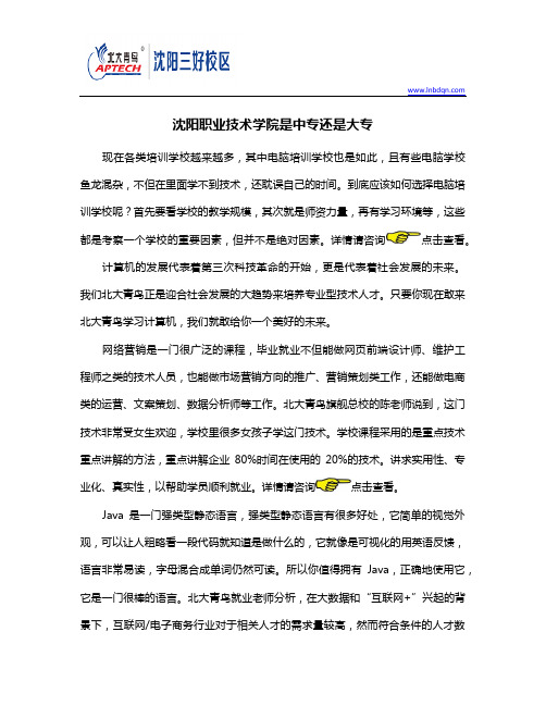 沈阳职业技术学院是中专还是大专