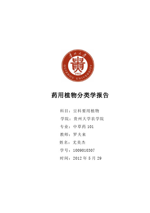药用植物分类学报告