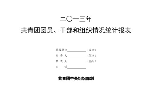 (3)2013年度共青团报表空白表格