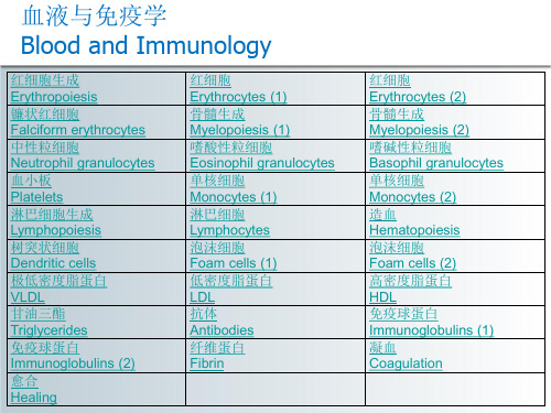 医学生物学ppt图片素材-血液与免疫学Blood_immunology