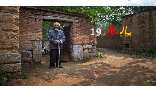 2020—2021学年部编版语文九年级下册第19课《枣儿》课件(共35张PPT)