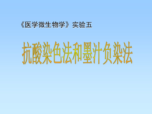 医学免疫学实验课件-抗酸染色与墨汁负染实验