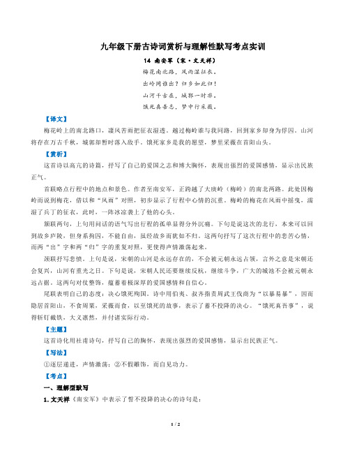 部编版语文九年级下古诗词赏析与默写14南安军(宋文天祥)-解析版