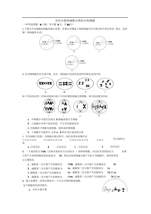 沪科版生命科学高二上7-2《有丝分裂》和减数分裂综合检测题