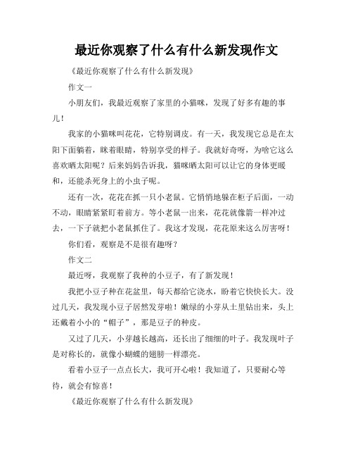 最近你观察了什么有什么新发现作文