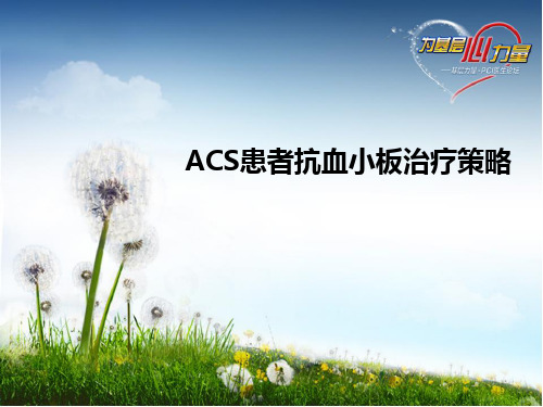 ACS患者抗血小板治疗策略