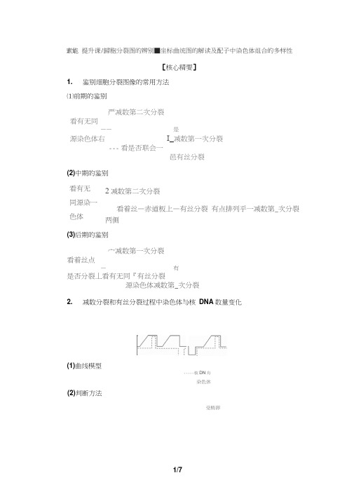 2020新苏教版生物必修2讲义细胞分裂图的辨别、坐标曲线图的解读及配子中染色体组合的多样性