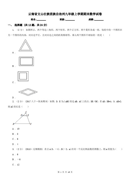 云南省文山壮族苗族自治州九年级上学期期末数学试卷