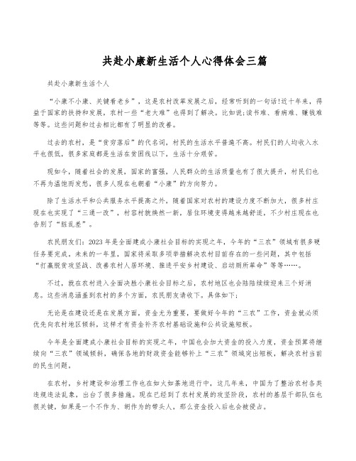 共赴小康新生活个人心得体会三篇