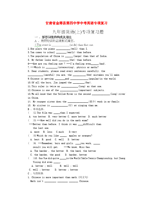 甘肃省金塔县第四中学中考英语专项复习1(无答案) 人教新目标版