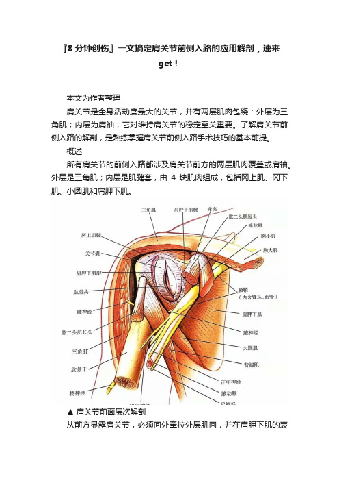 『8分钟创伤』一文搞定肩关节前侧入路的应用解剖，速来get！