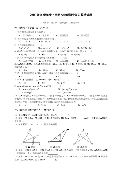 2015-2016学年度上学期八年级期中复习数学试题含答案
