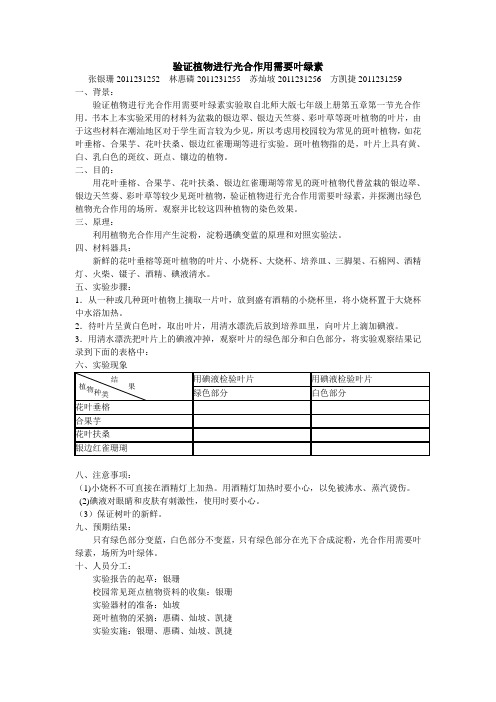 验证植物进行光合作用需要叶绿素