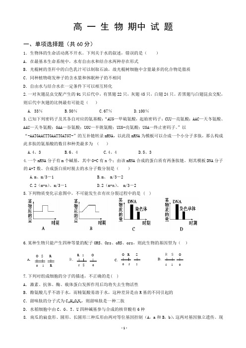 2015-2016学年黑龙江省肇东市第一中学高一下学期期中考试生物试题