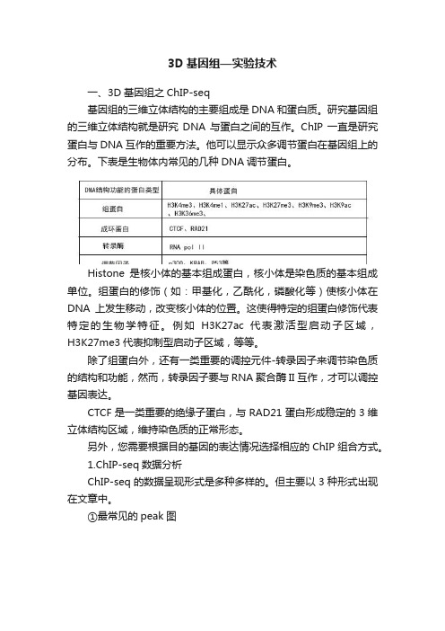 3D基因组—实验技术