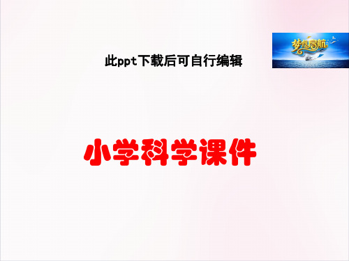 小学科学 教科版小学科学四年级下册第四单元《认识几种常见的岩石》PPT课件