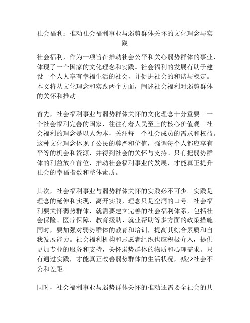 社会福利：推动社会福利事业与弱势群体关怀的文化理念与实践