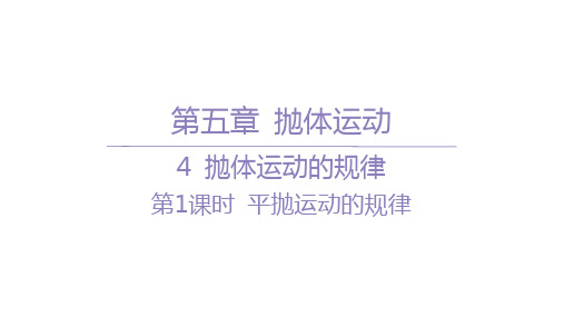 人教版高中物理必修第二册精品课件 第五章 抛体运动 抛体运动的规律-第1课时 平抛运动的规律