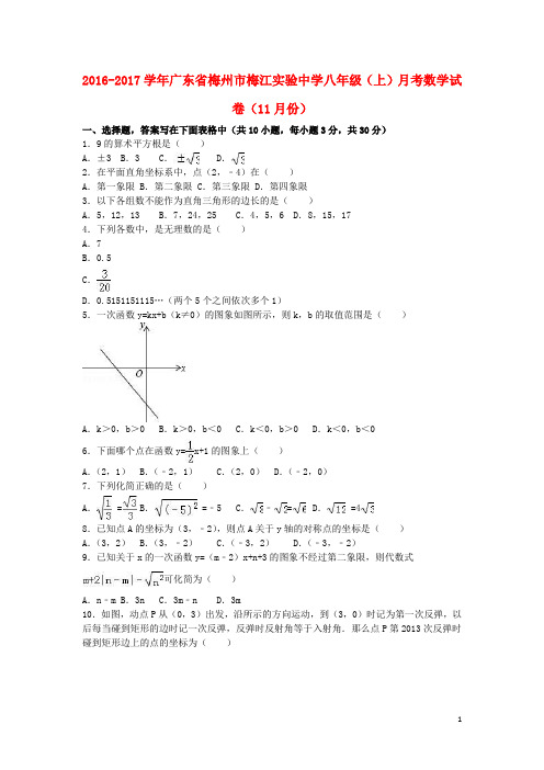 广东省梅州市梅江实验中学八年级数学上学期11月月考试卷(含解析) 新人教版