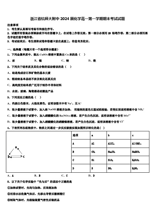 浙江省杭师大附中2024届化学高一第一学期期末考试试题含解析