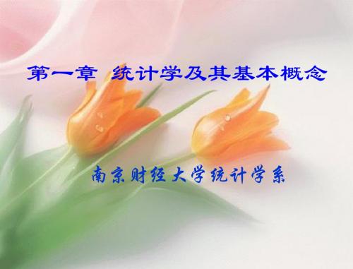 统计学第一章统计学极其基本概念