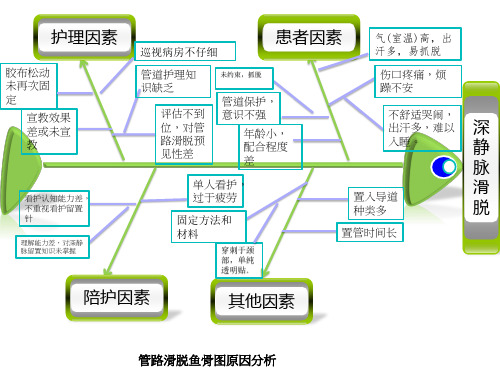 胃管滑脱鱼骨图模版