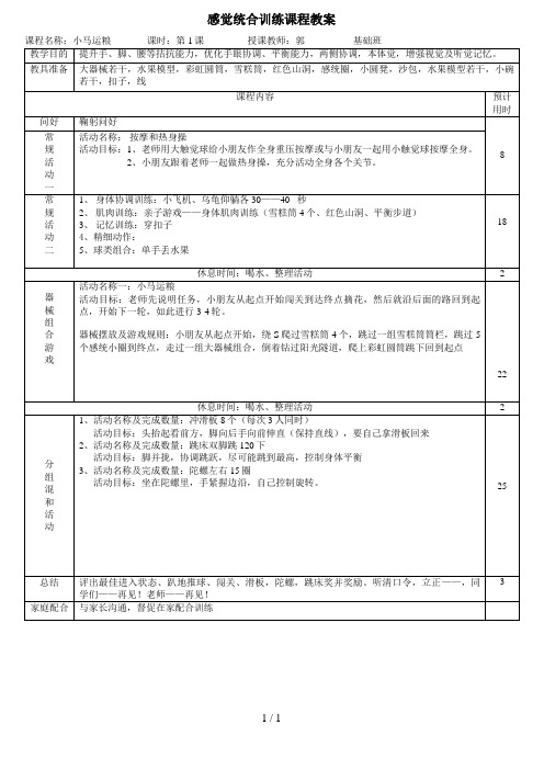 婴幼儿感觉统合训练课程教案(2-3)