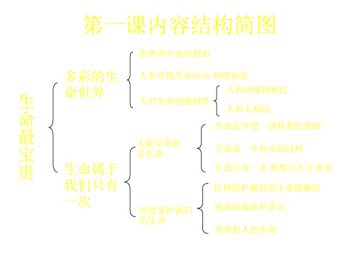 七年级政治让我们的生命更有价值(PPT)3-3