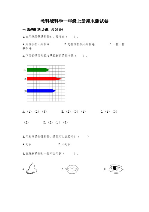 教科版科学一年级上册期末测试卷及解析答案