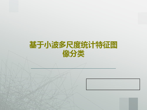 基于小波多尺度统计特征图像分类PPT37页