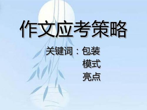 中考作文应考策略PPT (共16张PPT)