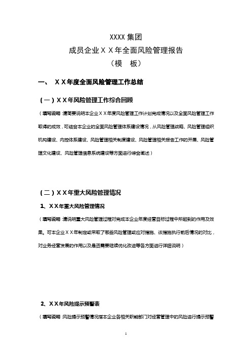 企业全面风险管理报告(模本)