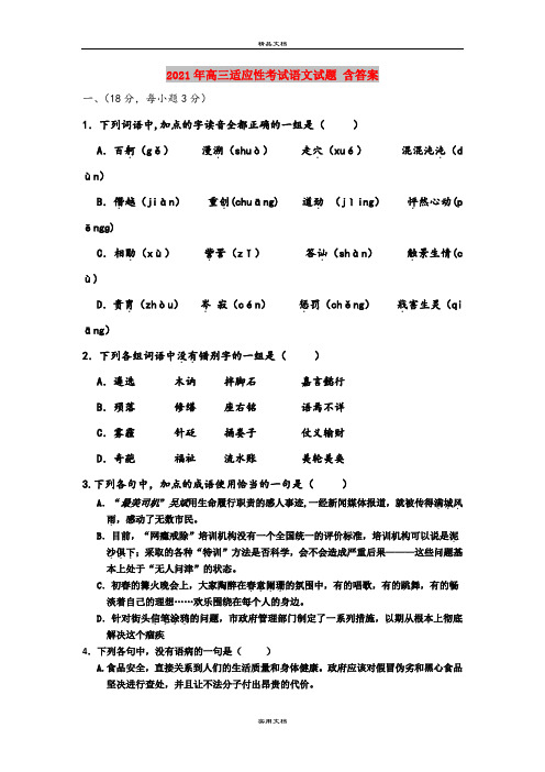 2021年高三适应性考试语文试题 含答案