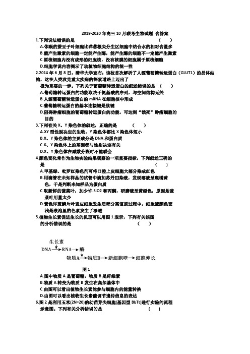 2019-2020年高三10月联考生物试题 含答案