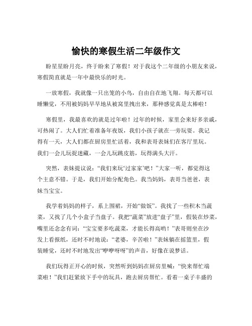 愉快的寒假生活二年级作文