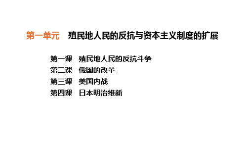 人教部编版九年级下第一单元殖民地人民的反抗与资本主义制度的扩展复习课件(7张)