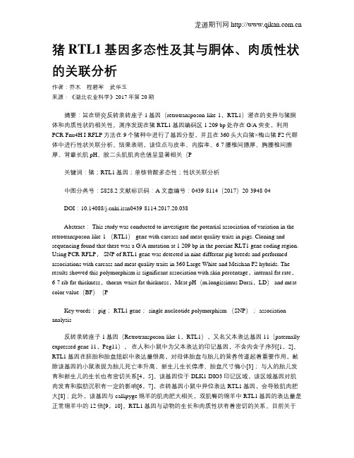 猪RTL1基因多态性及其与胴体、肉质性状的关联分析