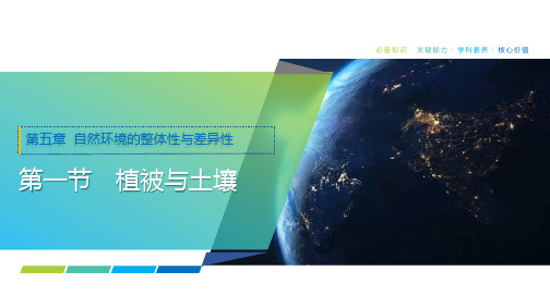 2025年高考地理一轮复习课件29第五章第一节植被与土壤